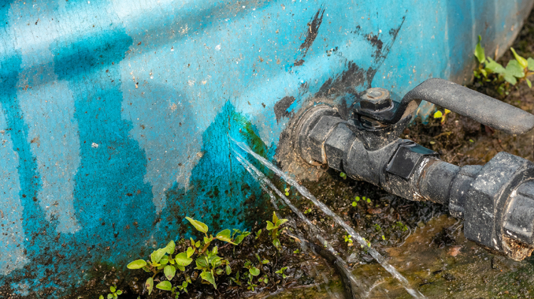 7 Risks With Buying a Cheap Rainwater Tank